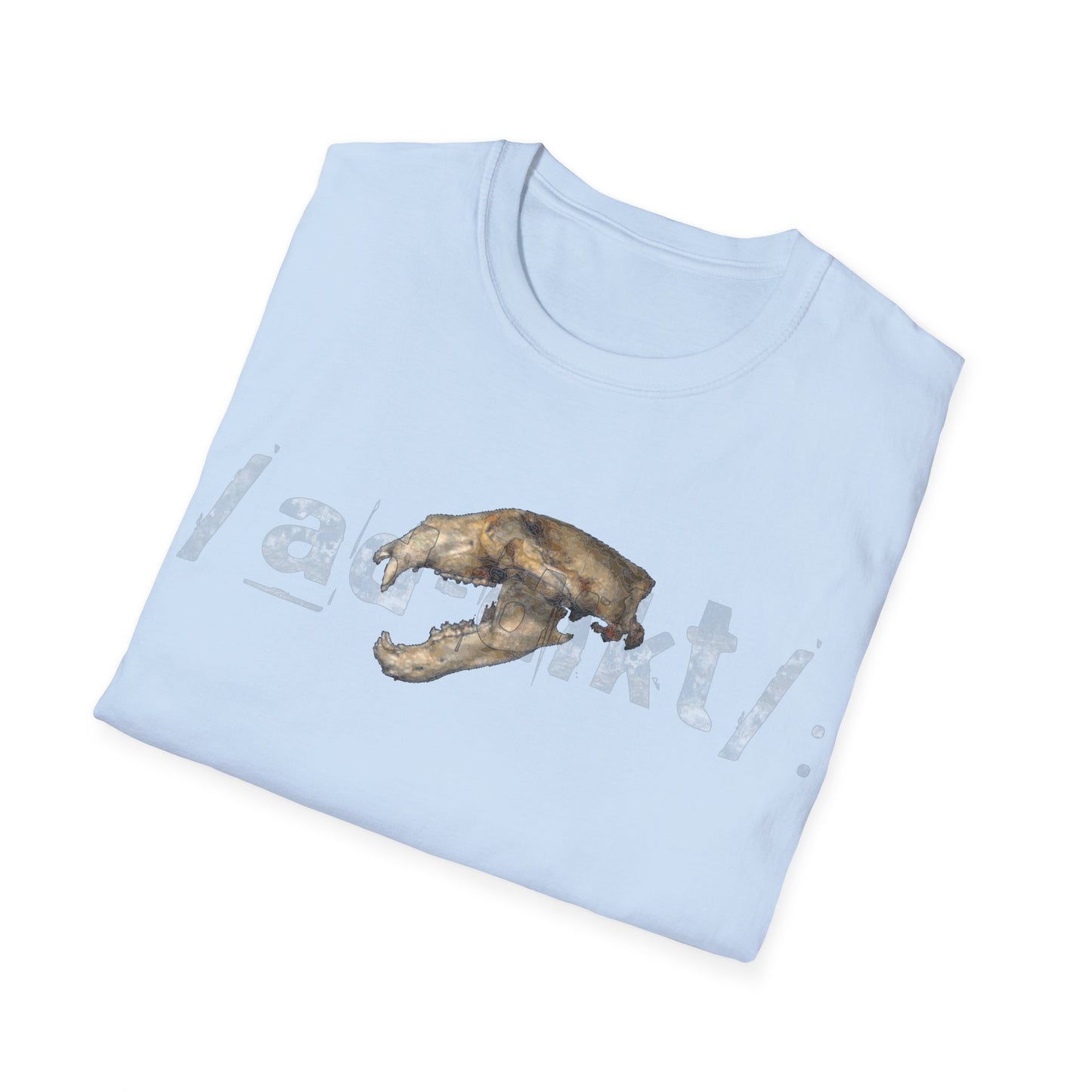 Bear Skull